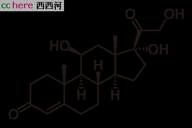 点看全图