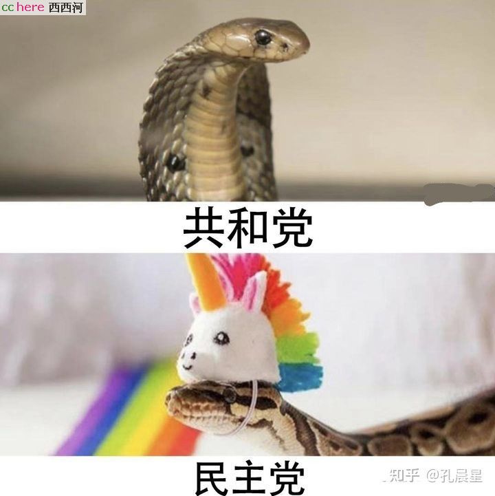 点看全图