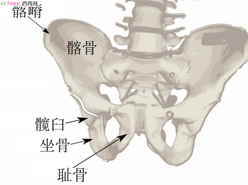 点看全图