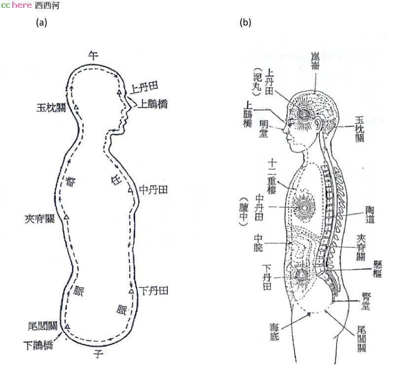 点看全图