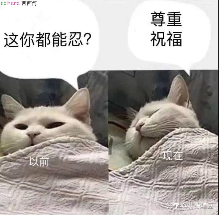 点看全图